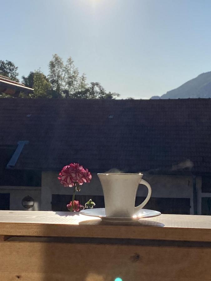 Schreiner-viehhausen Grassau (Bavaria)