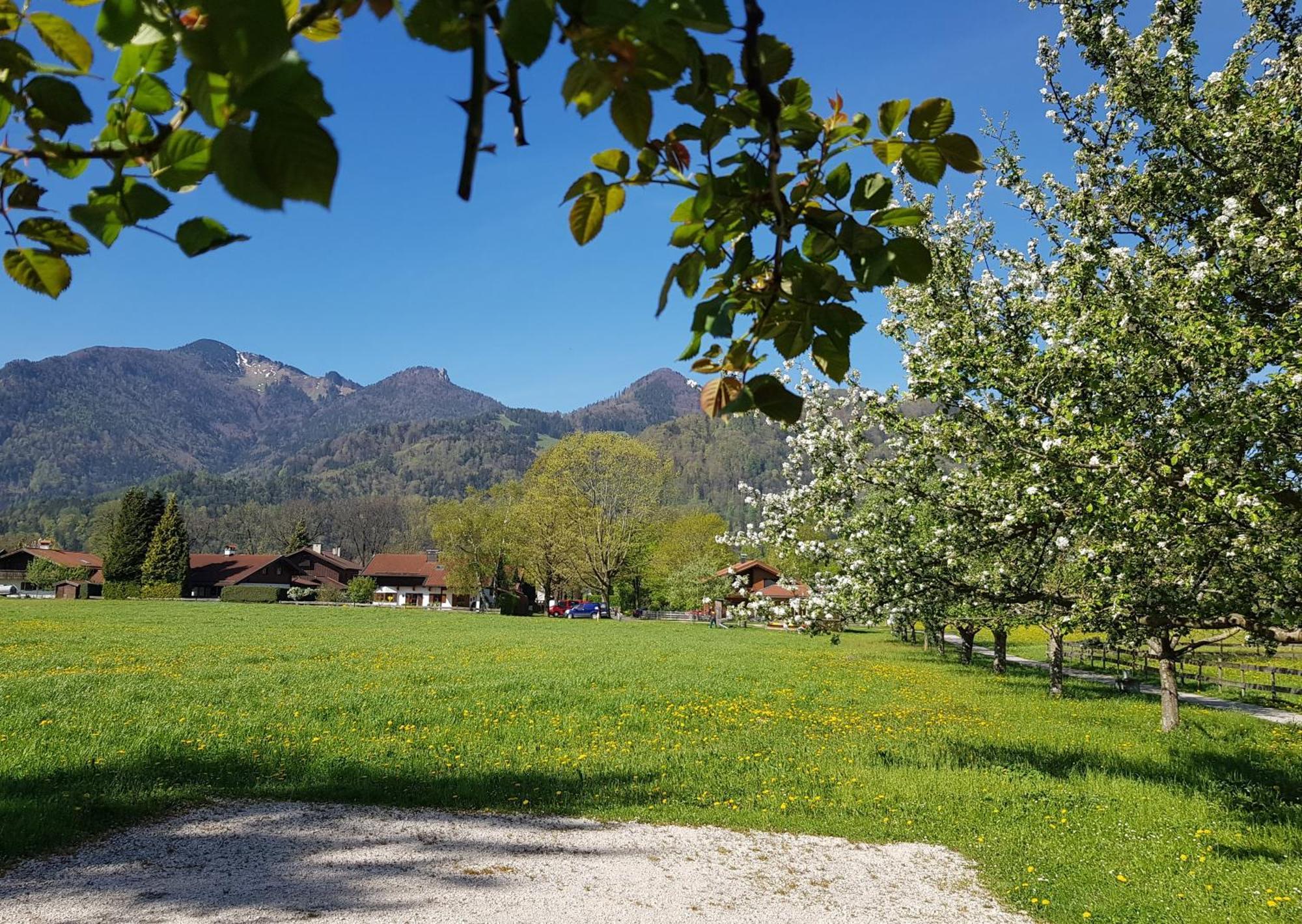 Apartment Schreiner-viehhausen Grassau (Bavaria)